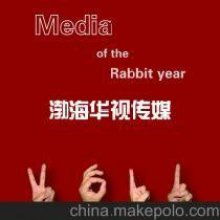 广告传媒 塑造现代商业与文化的无形之手