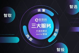 智鹊网 定制专属微表单，助力企业完成精准营销